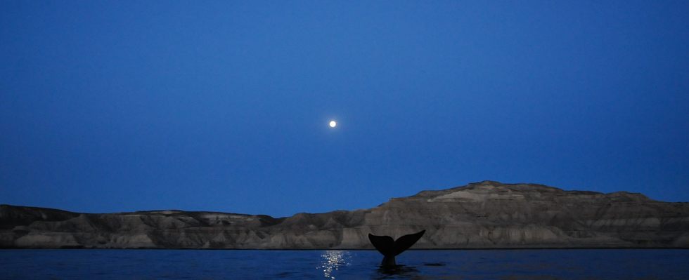 Patagonia_Project_Slider_Patagonia_002