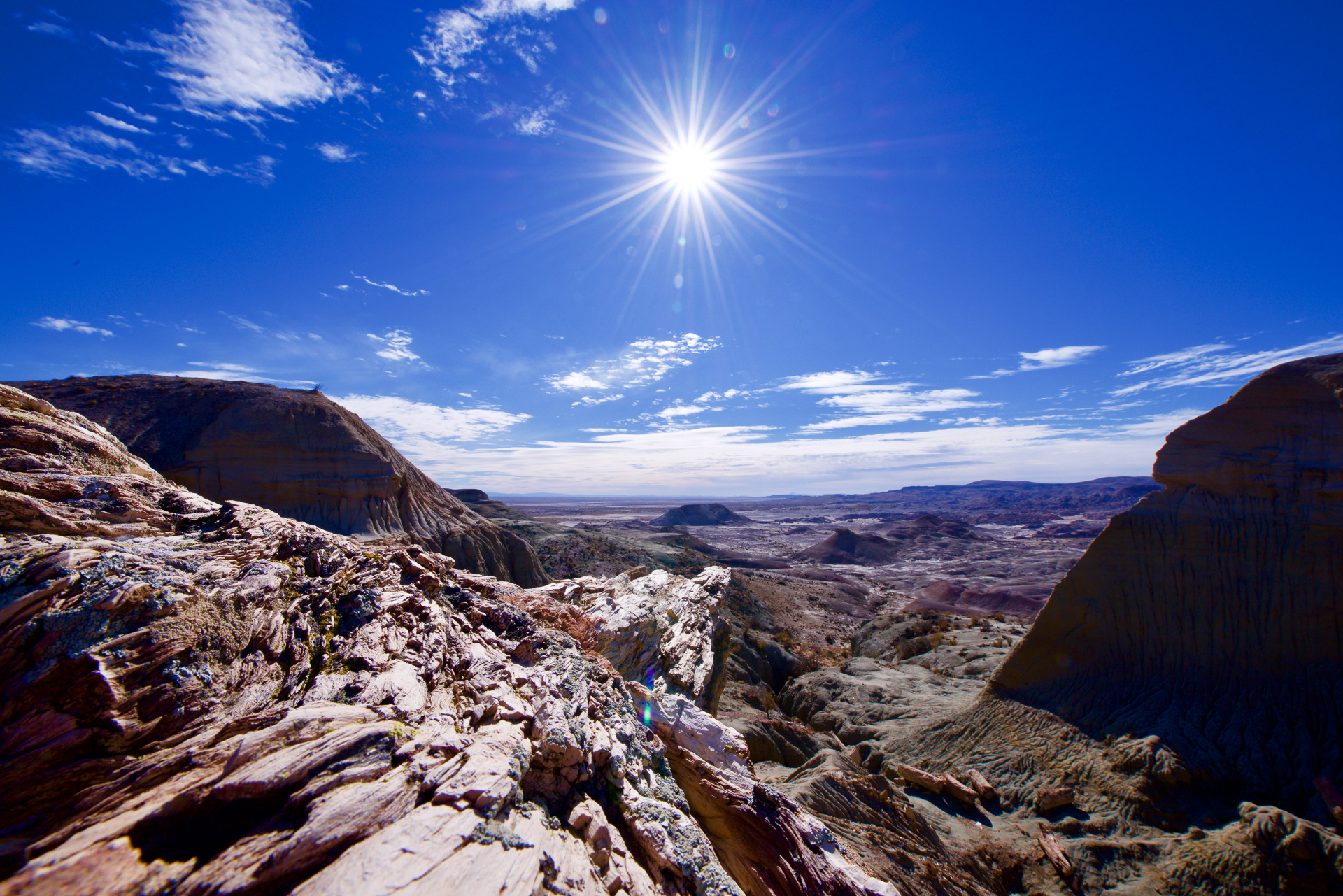 20190321_Wildlife_Observations_Worldwide_Patagonia_019