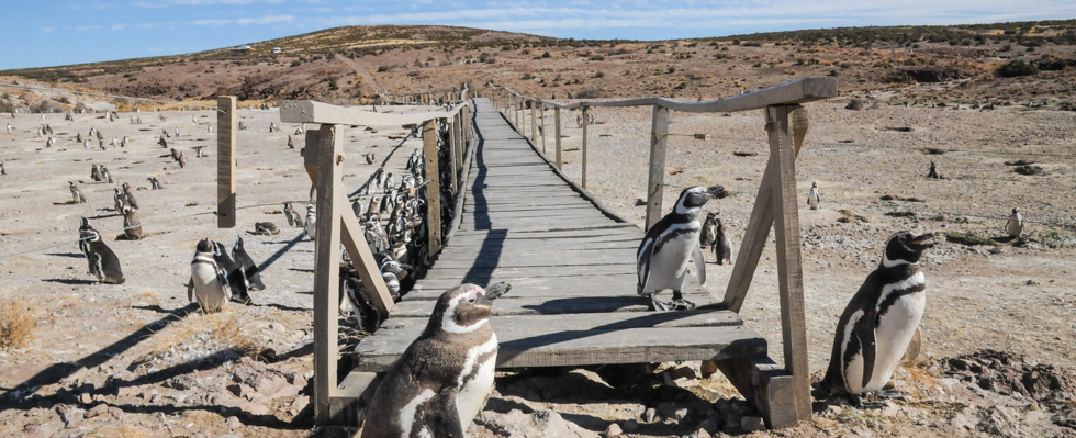 Patagonia_Project_Slider_Patagonia_003