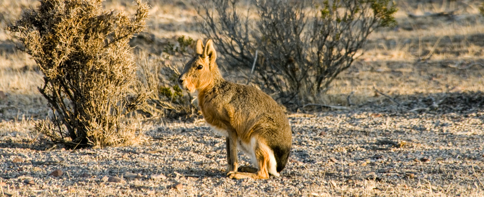 Patagonia_Project_Slider_Patagonia_007
