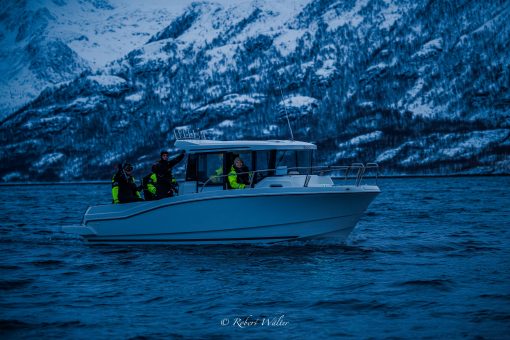 Arctic scenery